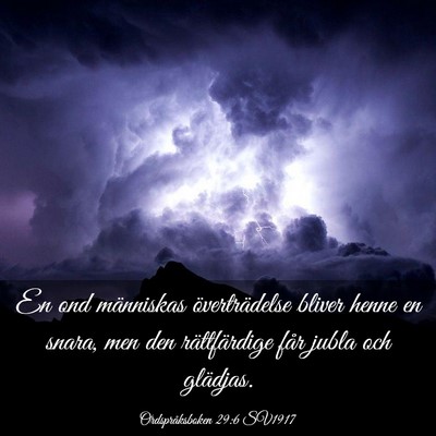 Picture 03 - Ordspråksboken 29:6 SV1917 - En ond människas överträdelse bliver henne en - Bible Verse Picture