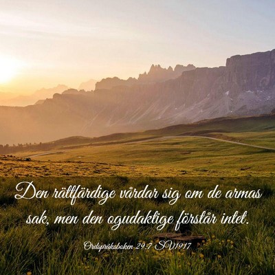 Picture 03 - Ordspråksboken 29:7 SV1917 - Den rättfärdige vårdar sig om de armas sak, - Bible Verse Picture