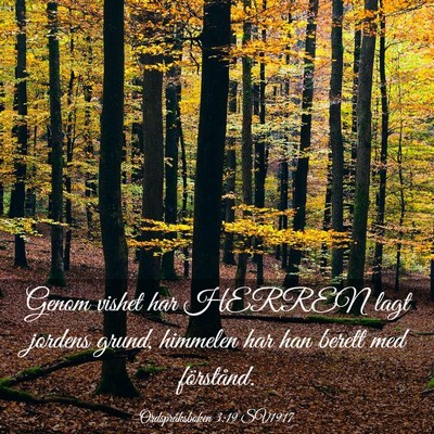 Picture 03 - Ordspråksboken 3:19 SV1917 - Genom vishet har HERREN lagt jordens grund, - Bible Verse Picture