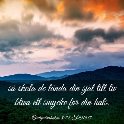 Picture 03 - Ordspråksboken 3:22 SV1917 - så skola de lända din själ till liv bliva ett - Bible Verse Picture