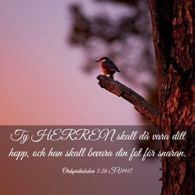 Picture 03 - Ordspråksboken 3:26 SV1917 - Ty HERREN skall då vara ditt hopp, och han skall - Bible Verse Picture