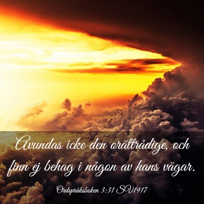 Picture 03 - Ordspråksboken 3:31 SV1917 - Avundas icke den orättrådige, och finn ej behag - Bible Verse Picture