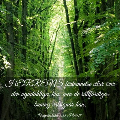 Picture 03 - Ordspråksboken 3:33 SV1917 - HERRENS förbannelse vilar över den ogudaktiges - Bible Verse Picture