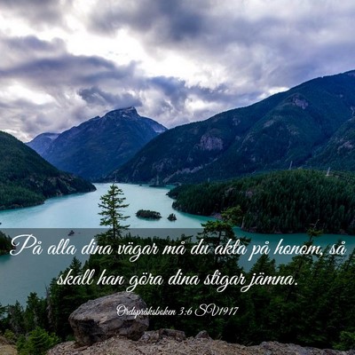 Picture 03 - Ordspråksboken 3:6 SV1917 - På alla dina vägar må du akta på honom, så - Bible Verse Picture