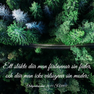 Picture 03 - Ordspråksboken 30:11 SV1917 - Ett släkte där man förbannar sin fader, och - Bible Verse Picture
