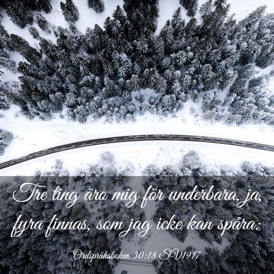 Picture 03 - Ordspråksboken 30:18 SV1917 - Tre ting äro mig för underbara, ja, fyra - Bible Verse Picture