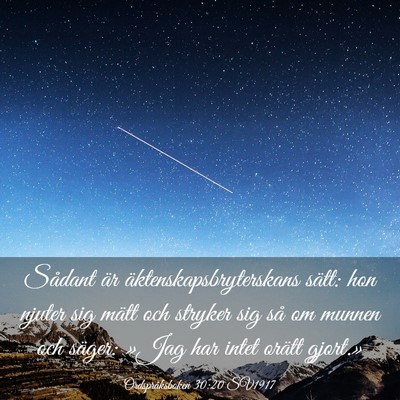 Picture 03 - Ordspråksboken 30:20 SV1917 - Sådant är äktenskapsbryterskans sätt: hon - Bible Verse Picture