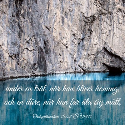 Picture 03 - Ordspråksboken 30:22 SV1917 - under en träl, när han bliver konung, och en - Bible Verse Picture