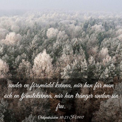 Picture 03 - Ordspråksboken 30:23 SV1917 - under en försmådd kvinna, när hon får man och - Bible Verse Picture