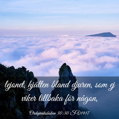 Picture 03 - Ordspråksboken 30:30 SV1917 - lejonet, hjälten bland djuren, som ej viker - Bible Verse Picture