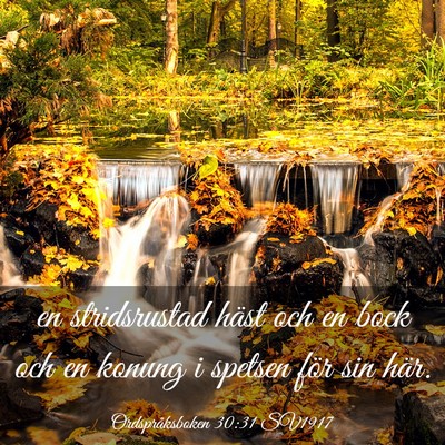 Picture 03 - Ordspråksboken 30:31 SV1917 - en stridsrustad häst och en bock och en konung i - Bible Verse Picture