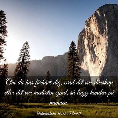 Picture 03 - Ordspråksboken 30:32 SV1917 - Om du har förhävt dig, evad det var dårskap - Bible Verse Picture