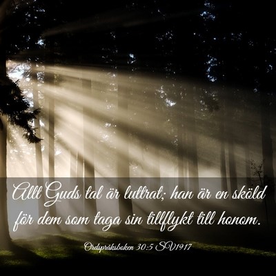 Picture 03 - Ordspråksboken 30:5 SV1917 - Allt Guds tal är luttrat; han är en sköld för - Bible Verse Picture