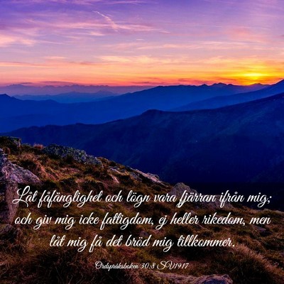 Picture 03 - Ordspråksboken 30:8 SV1917 - Låt fåfänglighet och lögn vara fjärran - Bible Verse Picture