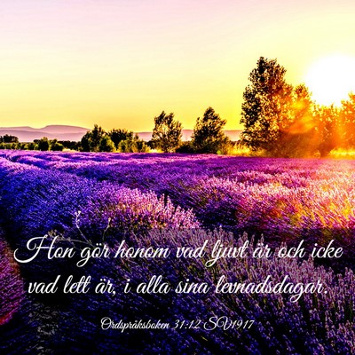 Picture 03 - Ordspråksboken 31:12 SV1917 - Hon gör honom vad ljuvt är och icke vad lett - Bible Verse Picture