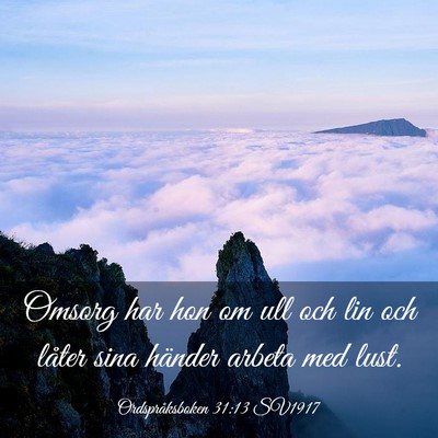 Picture 03 - Ordspråksboken 31:13 SV1917 - Omsorg har hon om ull och lin och låter sina - Bible Verse Picture