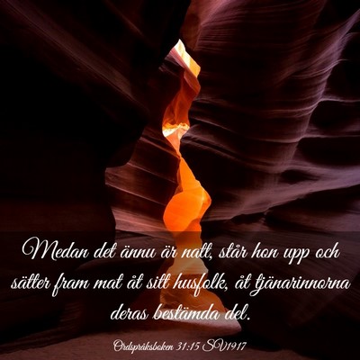 Picture 03 - Ordspråksboken 31:15 SV1917 - Medan det ännu är natt, står hon upp och - Bible Verse Picture