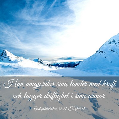 Picture 03 - Ordspråksboken 31:17 SV1917 - Hon omgjordar sina länder med kraft och lägger - Bible Verse Picture