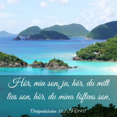 Picture 03 - Ordspråksboken 31:2 SV1917 - Hör, min son, ja, hör, du mitt livs son, hör, - Bible Verse Picture