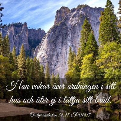 Picture 03 - Ordspråksboken 31:27 SV1917 - Hon vakar över ordningen i sitt hus och äter ej - Bible Verse Picture