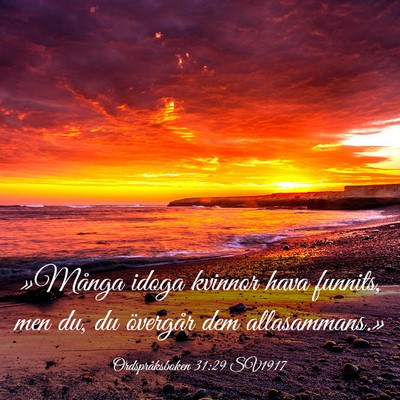 Picture 03 - Ordspråksboken 31:29 SV1917 - »Många idoga kvinnor hava funnits, men du, du - Bible Verse Picture
