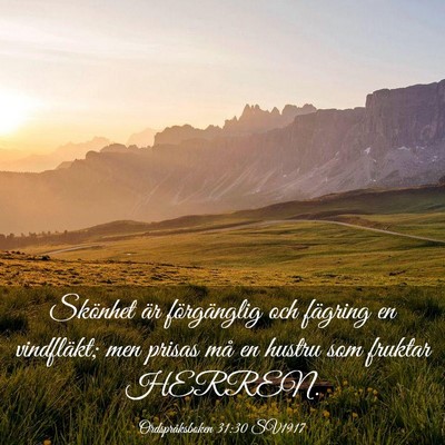 Picture 03 - Ordspråksboken 31:30 SV1917 - Skönhet är förgänglig och fägring en - Bible Verse Picture