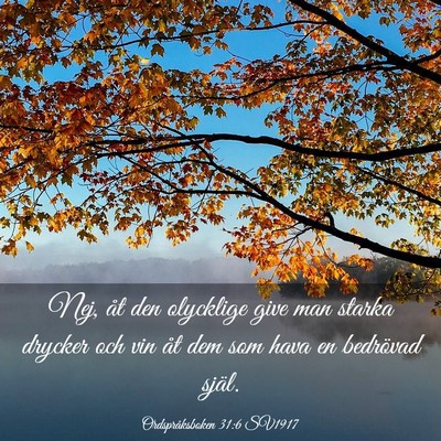 Picture 03 - Ordspråksboken 31:6 SV1917 - Nej, åt den olycklige give man starka drycker - Bible Verse Picture