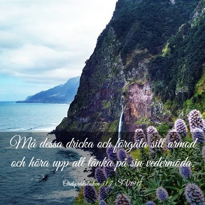 Picture 03 - Ordspråksboken 31:7 SV1917 - Må dessa dricka och förgäta sitt armod och - Bible Verse Picture