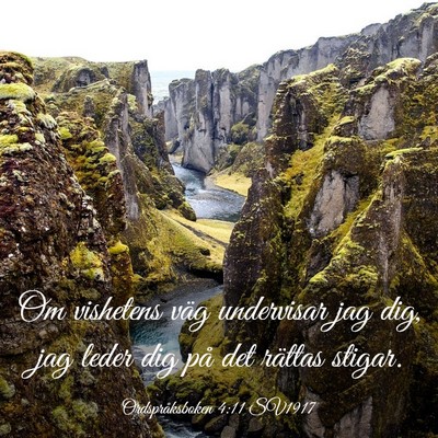 Picture 03 - Ordspråksboken 4:11 SV1917 - Om vishetens väg undervisar jag dig, jag leder - Bible Verse Picture
