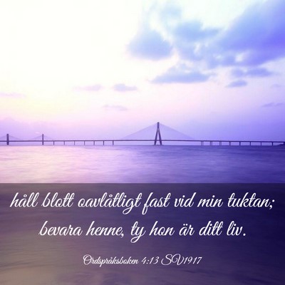 Picture 03 - Ordspråksboken 4:13 SV1917 - håll blott oavlåtligt fast vid min tuktan; - Bible Verse Picture