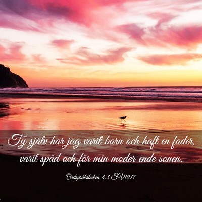 Picture 03 - Ordspråksboken 4:3 SV1917 - Ty själv har jag varit barn och haft en fader, - Bible Verse Picture