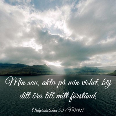 Picture 03 - Ordspråksboken 5:1 SV1917 - Min son, akta på min vishet, böj ditt öra till - Bible Verse Picture