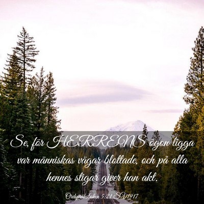 Picture 03 - Ordspråksboken 5:21 SV1917 - Se, för HERRENS ögon ligga var människas - Bible Verse Picture