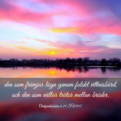 Picture 03 - Ordspråksboken 6:19 SV1917 - den som främjar lögn genom falskt vittnesbörd, - Bible Verse Picture