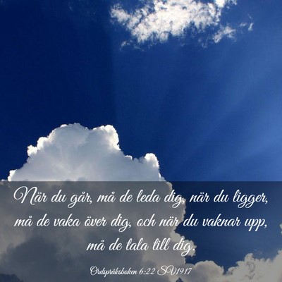 Picture 03 - Ordspråksboken 6:22 SV1917 - När du går, må de leda dig, när du ligger, - Bible Verse Picture