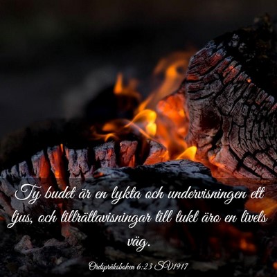 Picture 03 - Ordspråksboken 6:23 SV1917 - Ty budet är en lykta och undervisningen ett - Bible Verse Picture