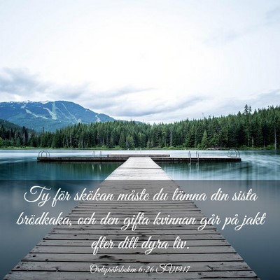 Picture 03 - Ordspråksboken 6:26 SV1917 - Ty för skökan måste du lämna din sista - Bible Verse Picture