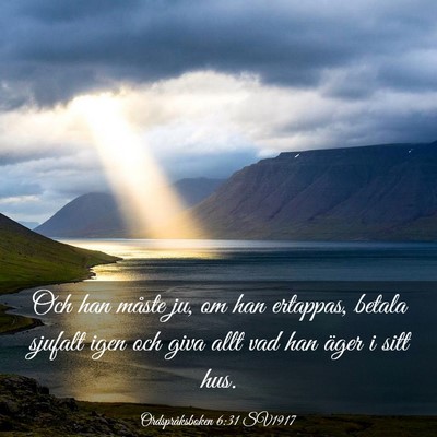 Picture 03 - Ordspråksboken 6:31 SV1917 - Och han måste ju, om han ertappas, betala - Bible Verse Picture
