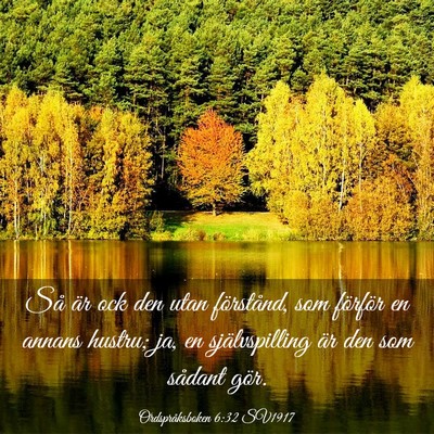 Picture 03 - Ordspråksboken 6:32 SV1917 - Så är ock den utan förstånd, som förför en - Bible Verse Picture
