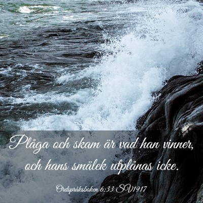 Picture 03 - Ordspråksboken 6:33 SV1917 - Plåga och skam är vad han vinner, och hans - Bible Verse Picture