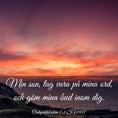 Picture 03 - Ordspråksboken 7:1 SV1917 - Min son, tag vara på mina ord, och göm mina bud - Bible Verse Picture