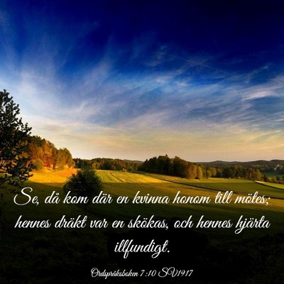 Picture 03 - Ordspråksboken 7:10 SV1917 - Se, då kom där en kvinna honom till mötes; - Bible Verse Picture