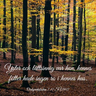 Picture 03 - Ordspråksboken 7:11 SV1917 - Yster och lättsinnig var hon, hennes fötter - Bible Verse Picture
