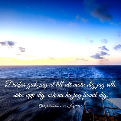 Picture 03 - Ordspråksboken 7:15 SV1917 - Därför gick jag ut till att möta dig jag ville - Bible Verse Picture