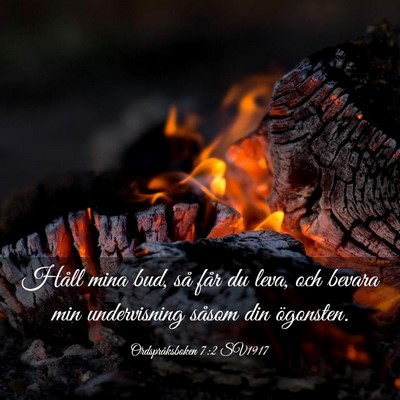 Picture 03 - Ordspråksboken 7:2 SV1917 - Håll mina bud, så får du leva, och bevara min - Bible Verse Picture