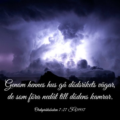 Picture 03 - Ordspråksboken 7:27 SV1917 - Genom hennes hus gå dödsrikets vägar, de som - Bible Verse Picture