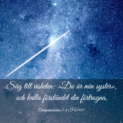 Picture 03 - Ordspråksboken 7:4 SV1917 - Säg till visheten: »Du är min syster», och - Bible Verse Picture
