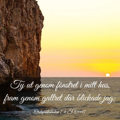 Picture 03 - Ordspråksboken 7:6 SV1917 - Ty ut genom fönstret i mitt hus, fram genom - Bible Verse Picture