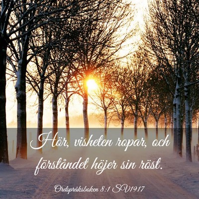 Picture 03 - Ordspråksboken 8:1 SV1917 - Hör, visheten ropar, och förståndet höjer sin - Bible Verse Picture