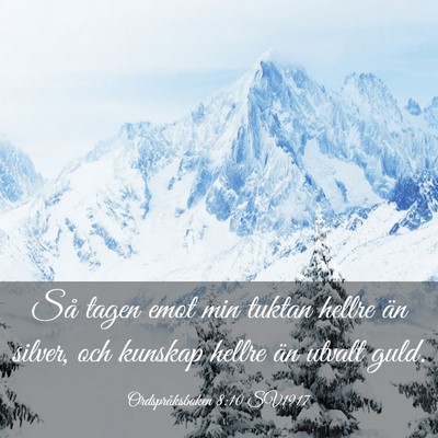 Picture 03 - Ordspråksboken 8:10 SV1917 - Så tagen emot min tuktan hellre än silver, och - Bible Verse Picture